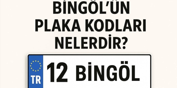 bingolun-plaka-kodu-ne-bingolun-plaka-numarasi-kac-bingol-ve-ilcelerinin-plaka-harfleri-7d2WvbQq.jpg